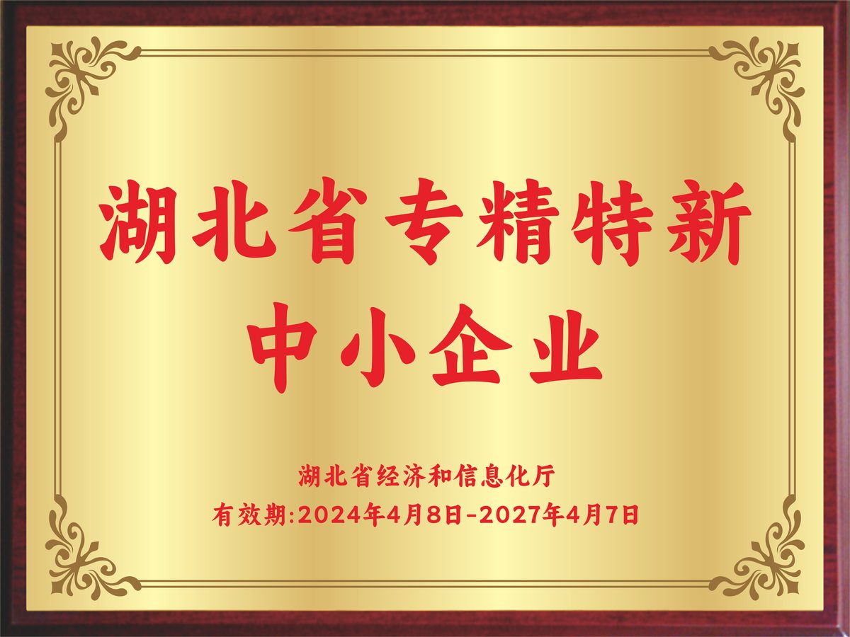 荣誉奖牌 05