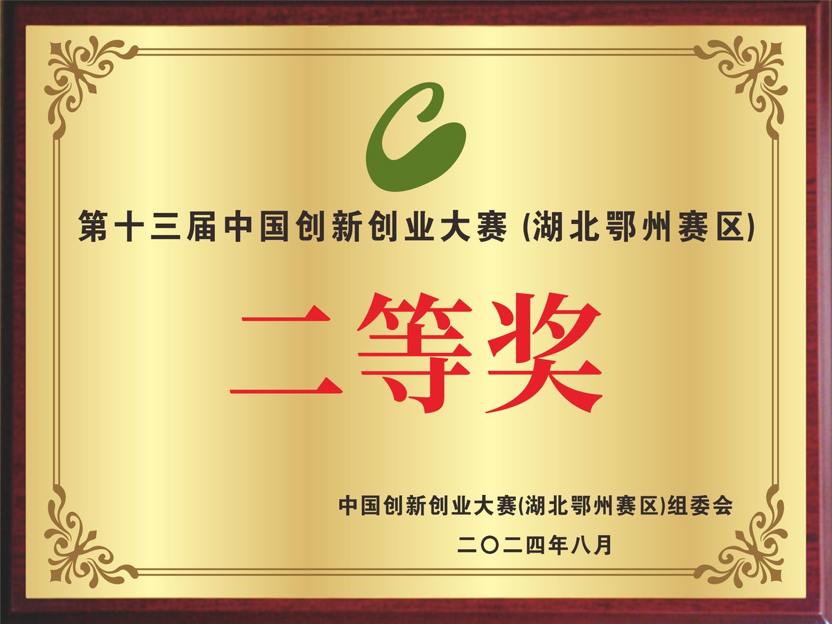 荣誉奖牌 09