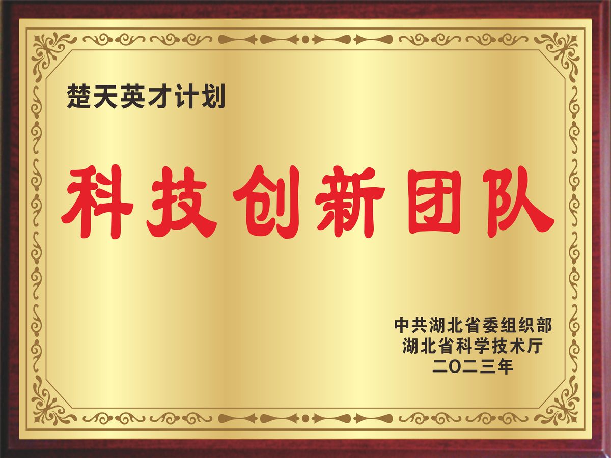 荣誉奖牌 10