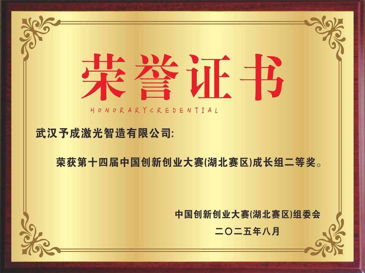 荣誉奖牌 12