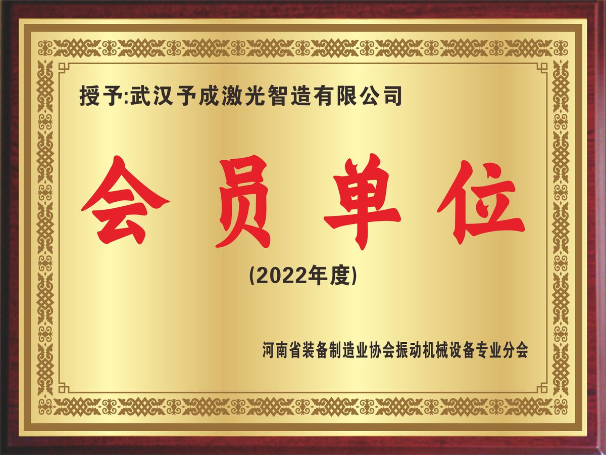 荣誉奖牌 15